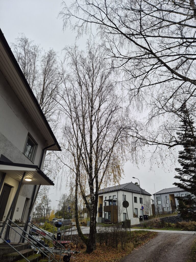 20251023_091219_resized_1