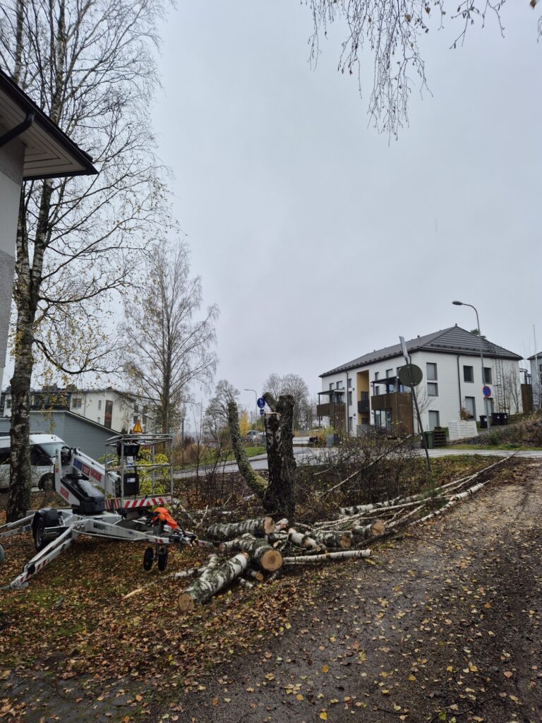 20251023_122641_resized_1