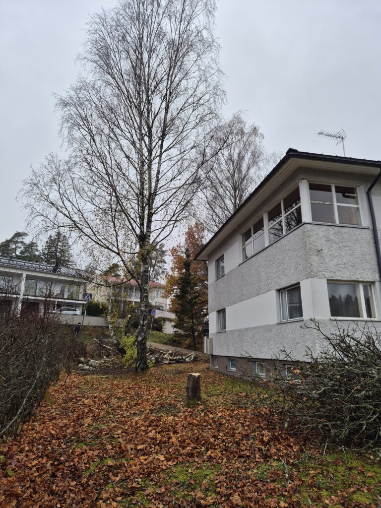 20251023_151602_resized_1